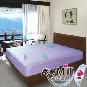 自然風 節能透氣床墊 雙人床(紫羅藍)