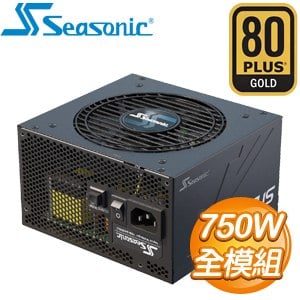 SeaSonic 海韻 Focus GX-750 750W 金牌 全模組 電源供應器《黑》(10年保)