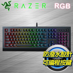 Razer 雷蛇 Cynosa V2 薩諾狼蛛 RGB薄膜式電競鍵盤《中文版》RZ03-03401400-R3T1