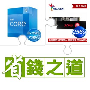 ☆自動省★ i5-12400(X2)+威剛 SX8200 PRO 256G M.2 PCIe SSD(X2)