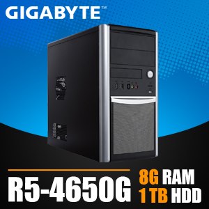 Gigabyte 技嘉 AB4650G 桌上型電腦(4650G/8G/1TB)
