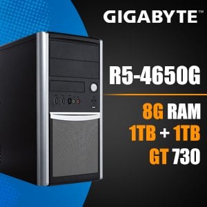 Gigabyte 技嘉 AB4650G GT730 桌上型電腦(4650G/8G/1T+1T)