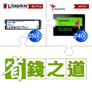 ☆自動省★ 金士頓 NV2 250G M.2 PCIe 4.0 SSD(X4)+威剛 SU650 240G SSD(X3)