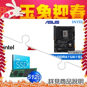 華碩 TUF GAMING B760-PLUS WIFI D4 主機板 (ATX/3+2年保)+Intel 670P 512G M.2 PCIe SSD