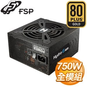 FSP 全漢 Hydro G PRO 750W 金牌 全模組 電源供應器 HG2-750 16PIN (10年保)