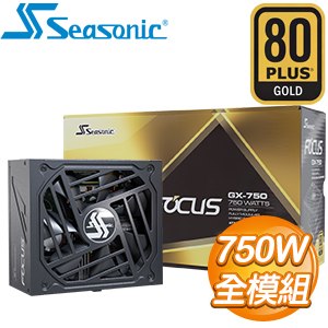 SeaSonic 海韻 Focus GX-750 750W 金牌 全模組 ATX3.0(PCIe 5.0)電源供應器(10年保)