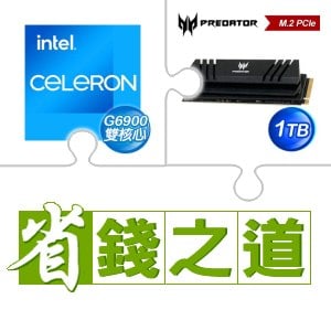 ☆自動省★ G6900(X2)+宏碁 Predator GM7000 1TB M.2 PCIe Gen4x4 SSD(含散熱片)(X3)