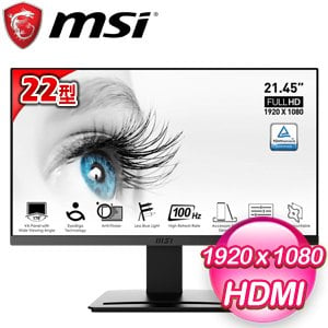 MSI 微星 PRO MP223 22型 低藍光護眼螢幕