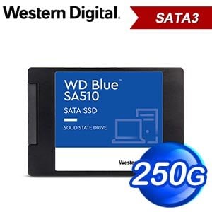 WD 威騰 藍標 SA510 250GB 2.5吋SATA SSD固態硬碟(WDS250G3B0A)