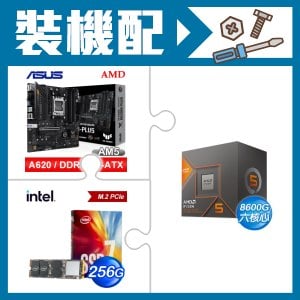 ☆裝機配★ AMD R5 8600G+華碩 TUF GAMING A620M-PLUS 主機板+Intel 760p 256G M.2 PCIe SSD(彩盒全球保固)