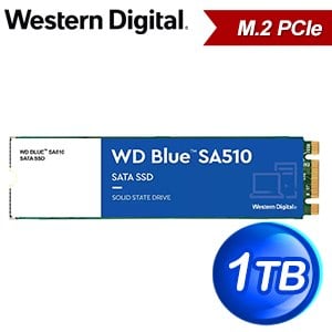 WD 威騰 藍標 SA510 1TB M.2 2280 SATA SSD(讀:560M/寫:530M) WDS100T3B0B