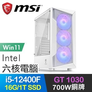 微星系列【星際大戰Win】i5-12400F六核 GT1030 電玩電腦(16G/1T SSD/Win11)