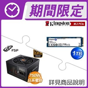 金士頓 NV2 1TB M.2 PCIe 4.0 SSD+全漢 HEXA 85+ PRO 750,GEN5 銅牌 ATX3.0電源供應器
