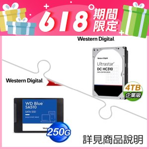 WD Ultrastar HC310 4TB 7200/256M 硬碟+WD 藍標 SA510 250GB 2.5吋 SATA SSD
