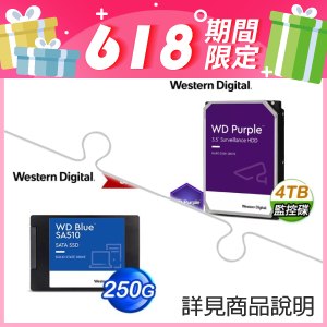 WD 紫標 4TB 5400轉 256M 3.5吋 監控硬碟+WD 藍標 SA510 250GB 2.5吋 SATA SSD