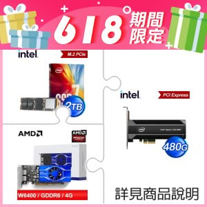 Intel 900P 480G Optane PCIe SSD+Intel 760p 2TB M.2 PCIe SSD+AMD Radeon Pro W6400 專業繪圖卡