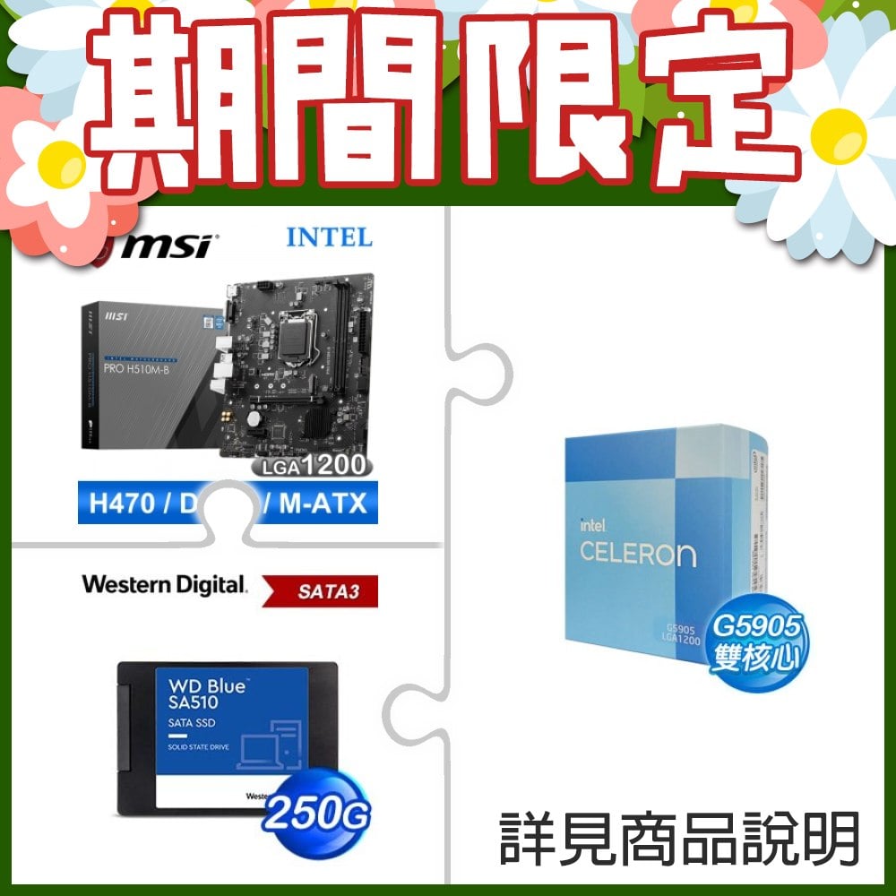 G5905《彩盒全球保固》+微星 PRO H510M-B M-ATX主機板 ★送WD 藍標 SA510 250GB 2.5吋 SATA SSD